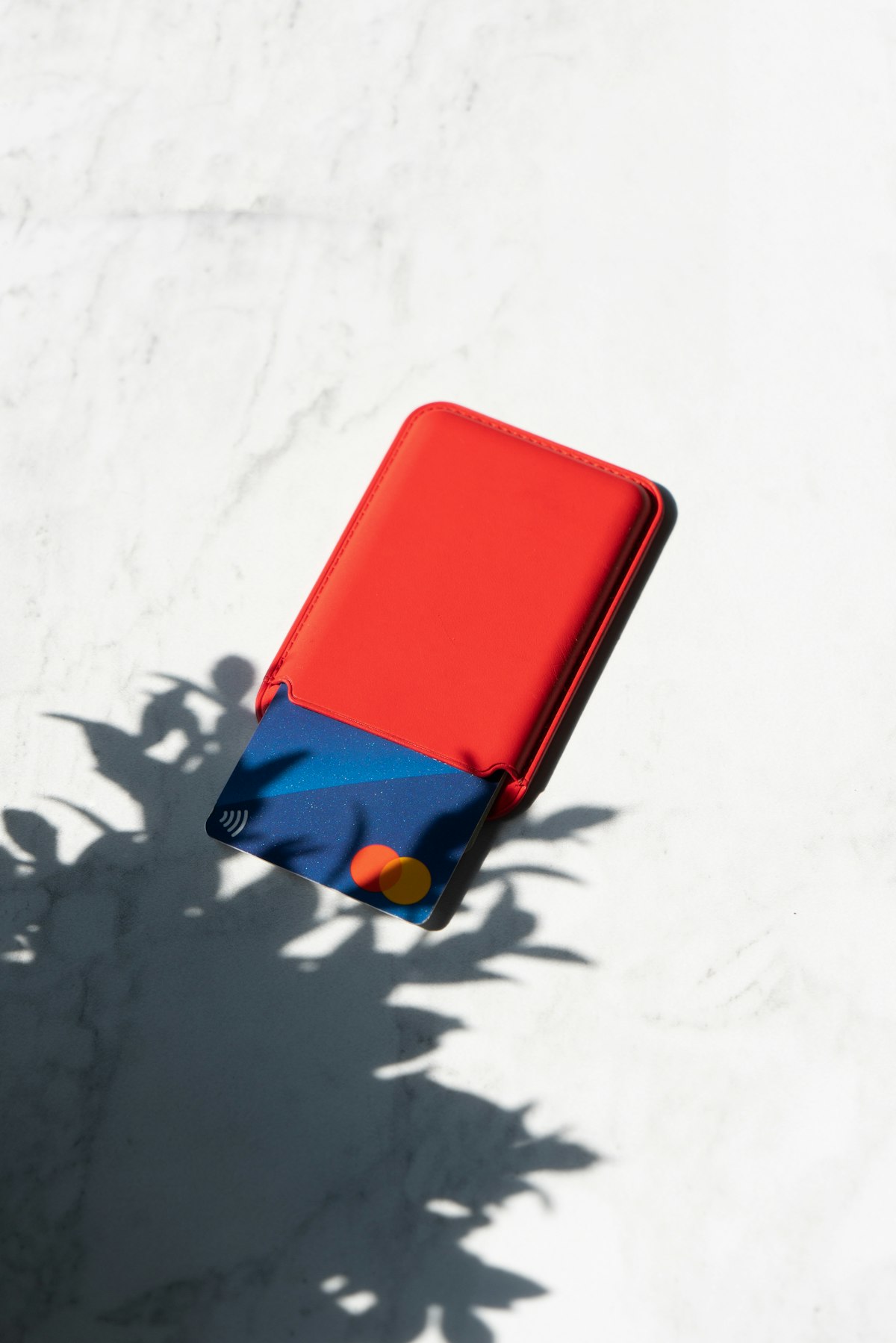 WILDTANE Aura Pebble Zip Leather Wristlet