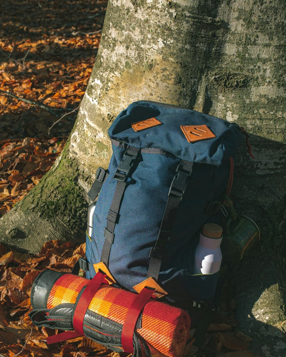 Alpine Explorer Pack 35L