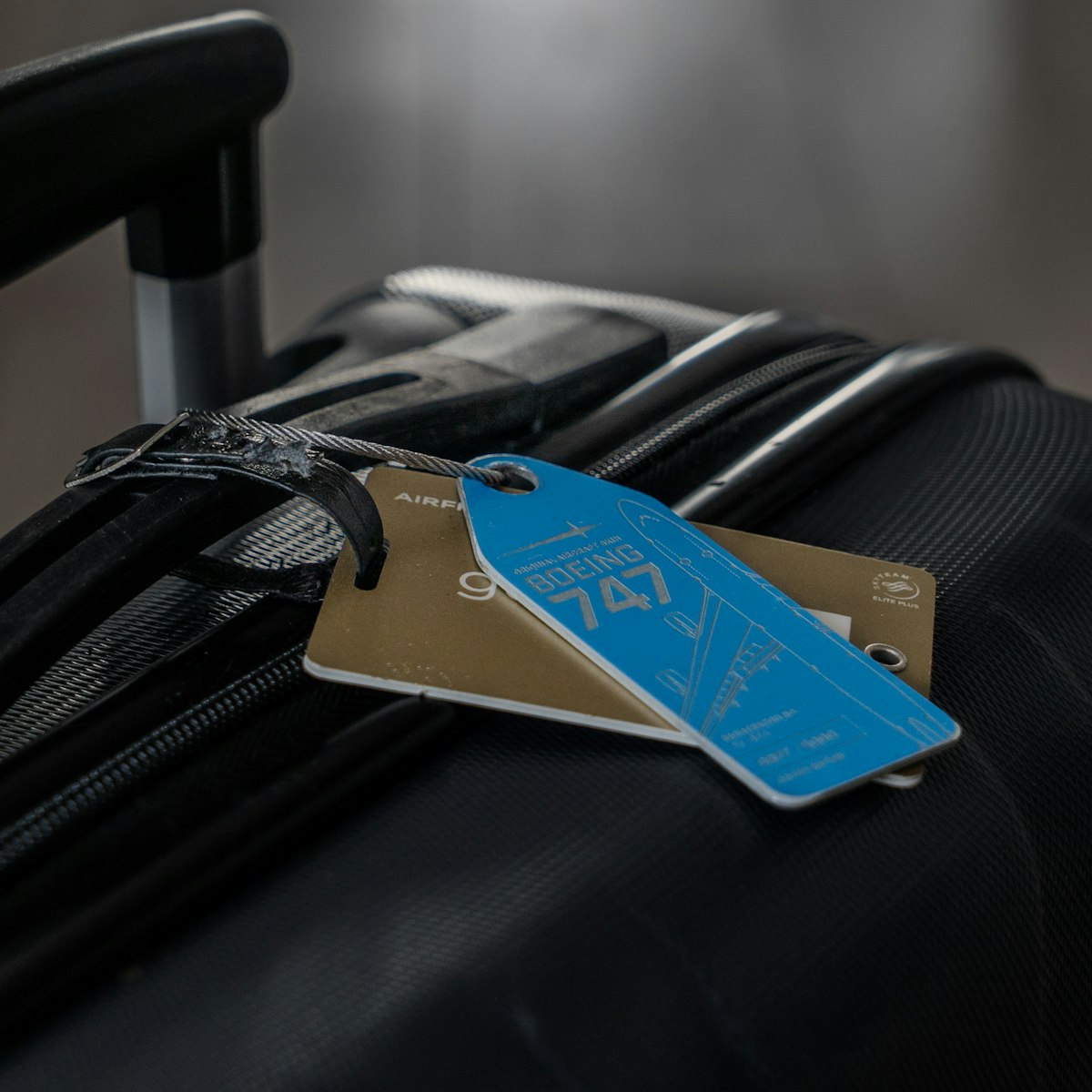 Bright Leather Luggage Tag
